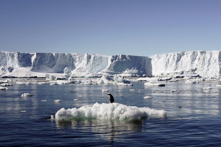 Low Record of Antarctic Sea Ice Levels